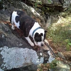 Meet your Posher, Preston